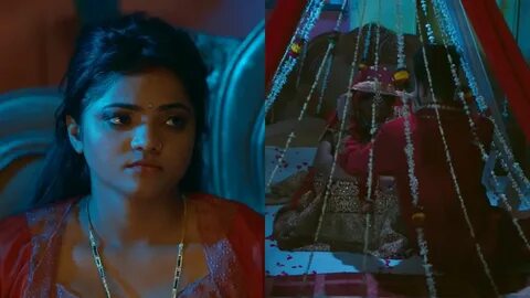 Pushpa 2 OTT Release: Pushpa 2 is coming on OTT, know when and where you ca...
