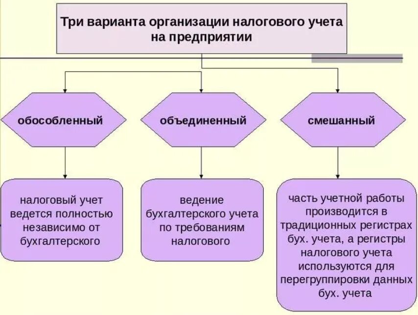 Учет в образовательной организации. Варианты ведения налогового учета. Система налогового учета компании. Способы ведения налогового учета в организации. Схема организации налогового учета.