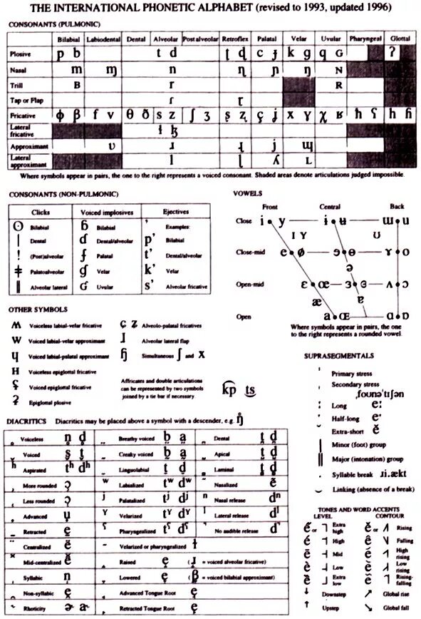 Международная транскрипция