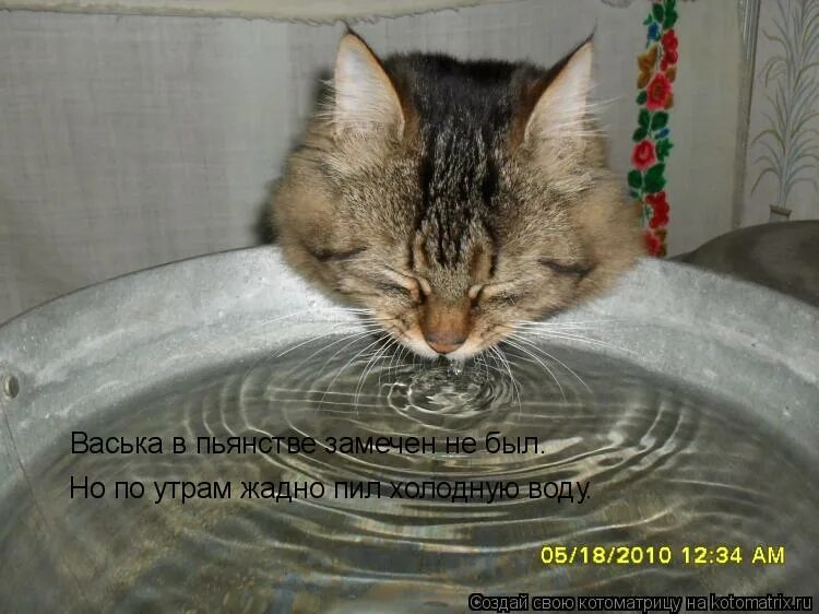 в пьянстве замечен не был