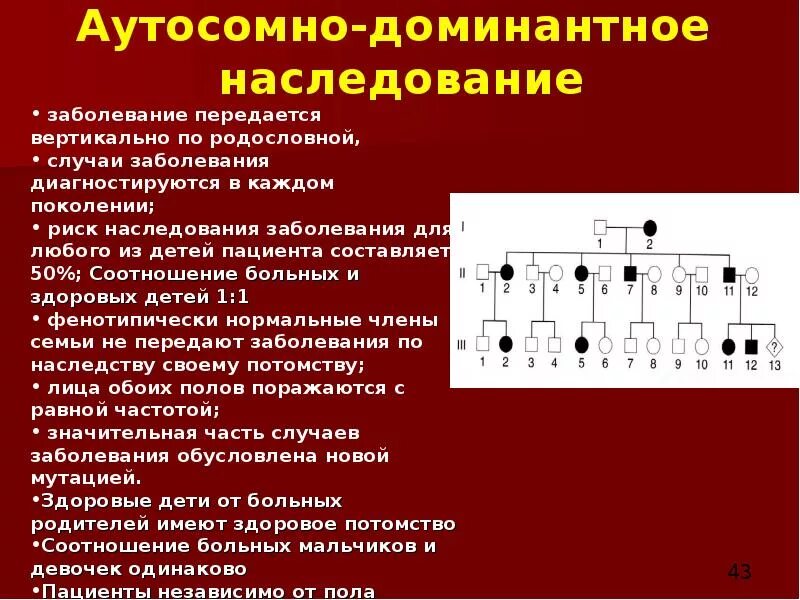Сцепленное наследование признаков определение примеры Схему скрещивания сцепленного наследования Telegraph