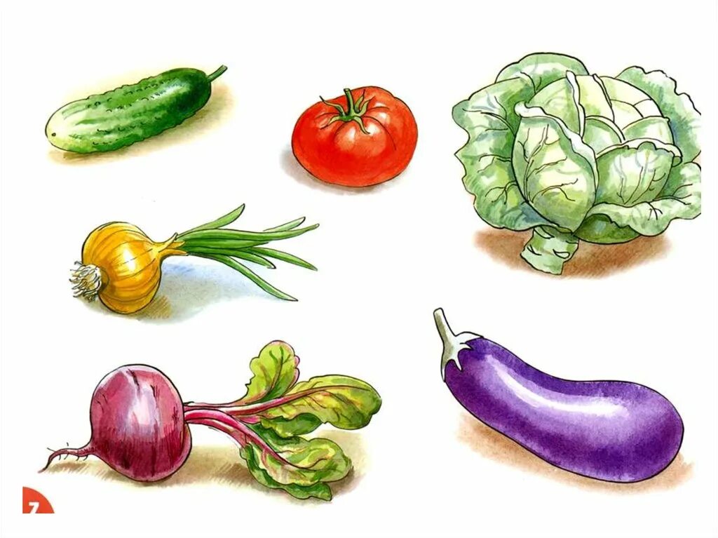 Обобщенный рисунок. Овощи для дошкольников. Наглядный материал овощи. Изображение овощей для детей. Овощи рисунок для детей.