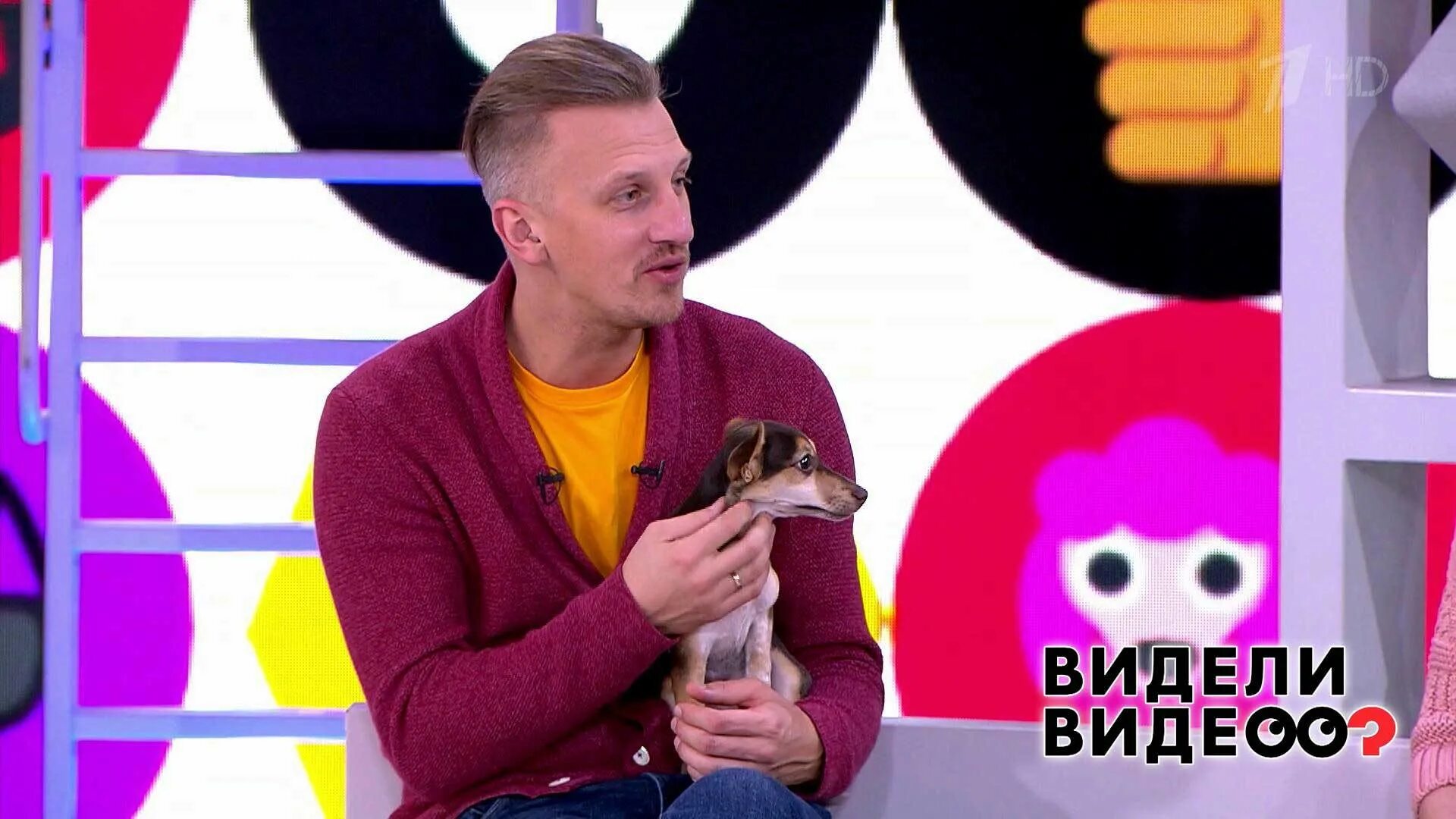 Канал видели видео. Ведущий передачи видели видео. видели видео первый канал ведущий. смол ведущий видели видео.