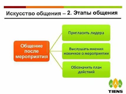 Этапы мастерства