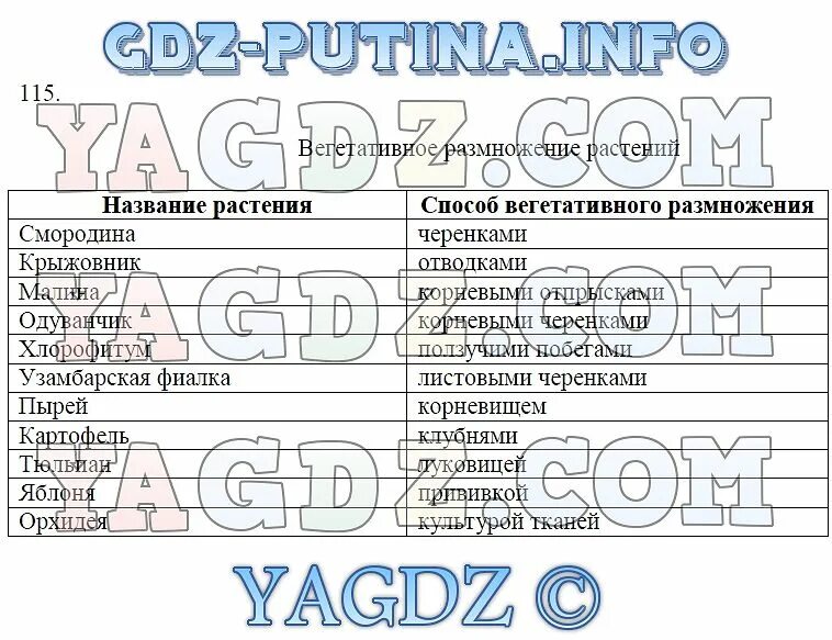 Особенности размножения человека 8 класс. Биология 6 класс задания. Тренировочные задания по биологии 6 класс Пасечник тетрадь.