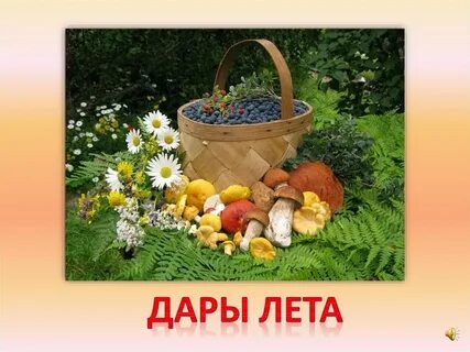 Последние дары лета