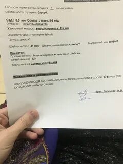 Эмбрион не визуализируется что это значит