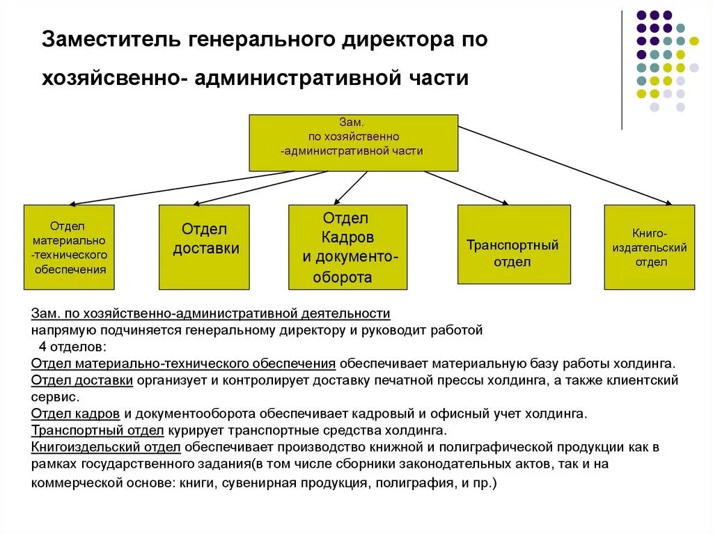 Компаний курируемых. Заместитель генерального директора. Заместитель генеральногодиректра. Функции заместителя генерального директора. Помощник генерального директора.