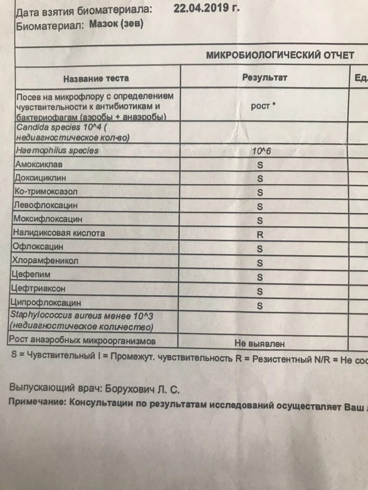 Haemophilus influenzae чувствительность к антибиотикам. Бак посев на микрофлору и чувствительность к антибиотикам. Посев мочи на микрофлору. Исследование мочи на микрофлору и чувствительность к антибиотикам. Haemophilus spp у мужчин