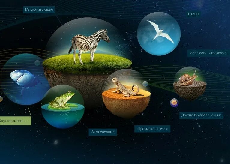Новейший дизайн сайта. Оригинальные сайты. Необычный дизайн сайта. Дизайн сайта. Мир биологии.