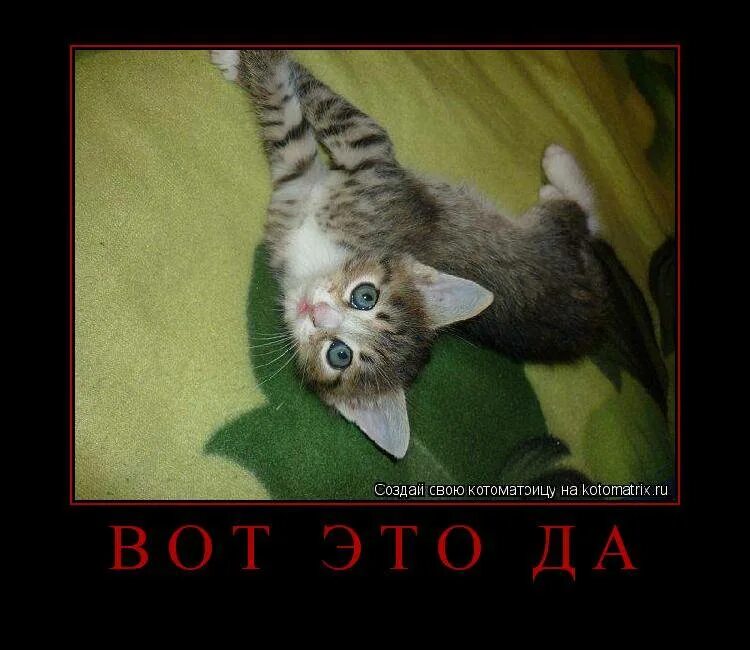 Почему приятно трогать. Мужская рука между женских ног. Отношения коллаж. Почему приятно трогать. Мужчина и женщина.