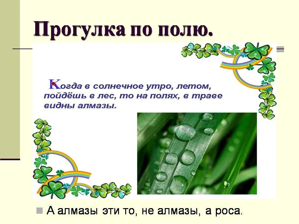 Мир полей информация. Мир полей информация