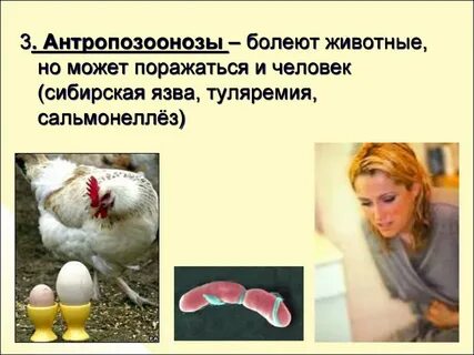 Инфекции людей и животных