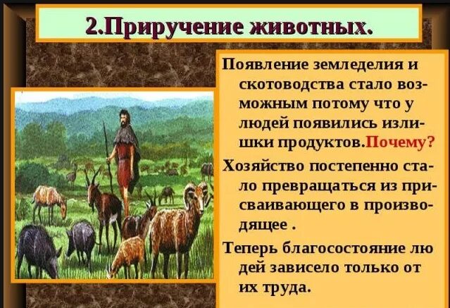 Как называется территория где впервые появляется земледелие. Земледелие и скотоводство. появление земледелия. эпоха земледелия и скотоводства. земледелие и скотоводство первобытных людей.