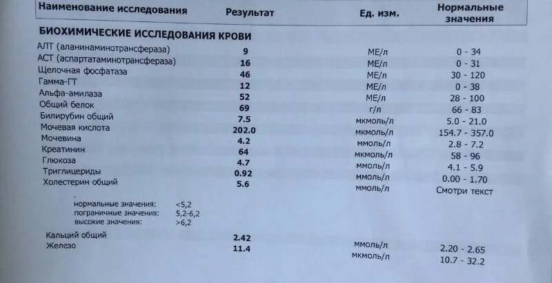 Сдать кровь на печень. Анализ крови. Биохимическое исследование крови. Необходимые анализы. Обязательные анализы.