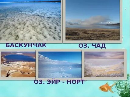 Озеро эйр соленое или пресное