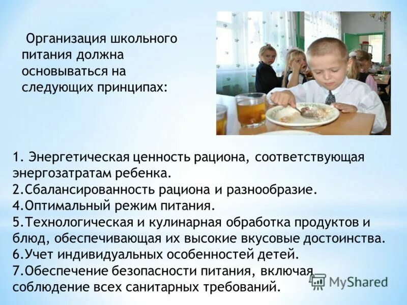 Основы школьного питания