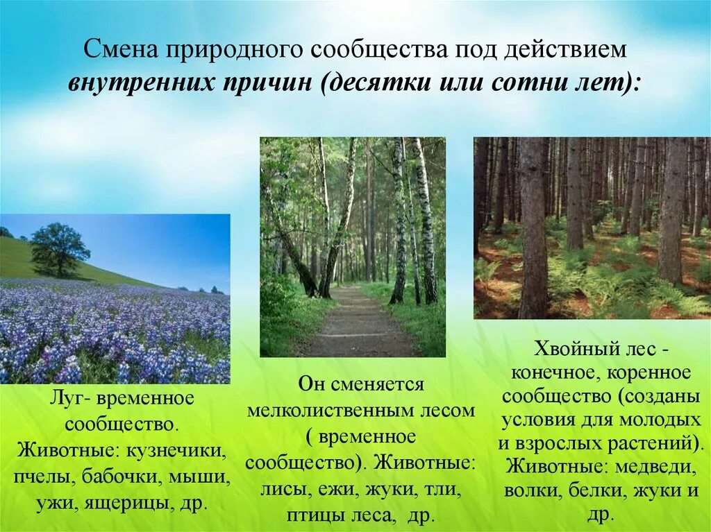 Природные сообщества. Причины смены природных сообществ. Природные сообщества Саратовской области. Изменения в природных сообществах.