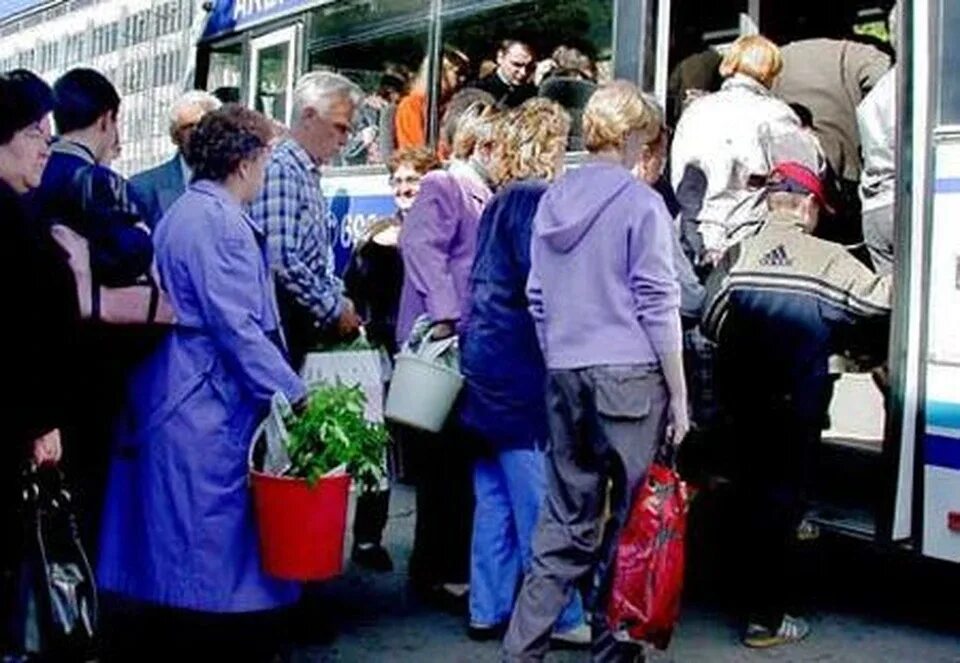 Дачный автобус. Дачники в автобусе. Рассада в автобусе. Бабушка с рассадой в автобусе. Автобус первая мая