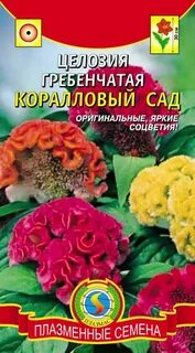 Целозия гребенчатая коралловый