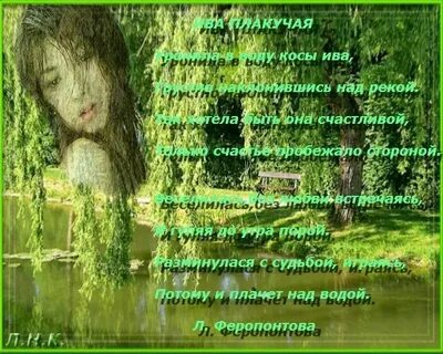 Распустила косы ива смотрит в речку горделиво