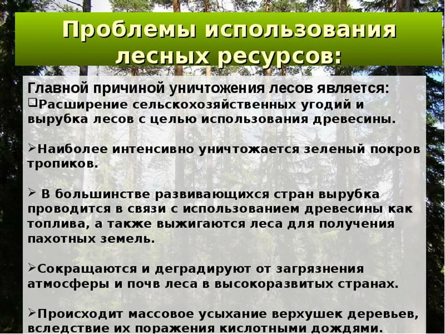 Проблемы лесных ресурсов. Проблемы использования лесных ресурсов. Пути решения лесных ресурсов. Проблемы рационального использования лесных ресурсов. Рациональному использованию и воспроизводству природных