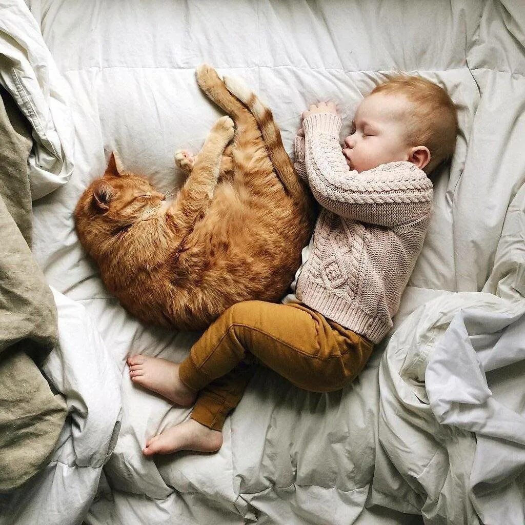 Кот не любит детей. Младенец и котенок. Кот для детей. Коты и младенцы. Дети и коты.