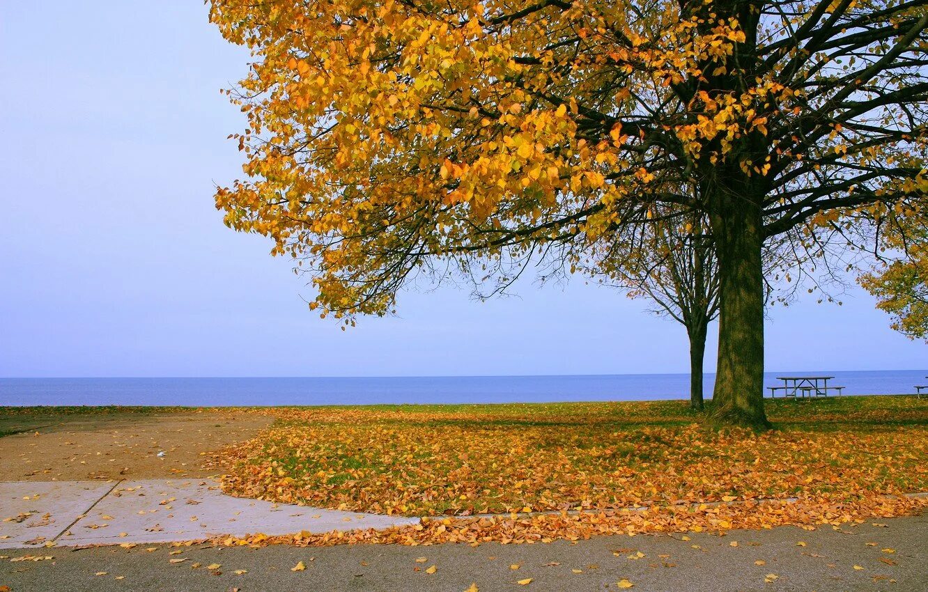 Теплые моря осенью. Осень в крыму. Осень на море. Природа солнце. Иркутск листвянка ольхон.