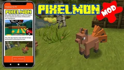 Don t pocket edition