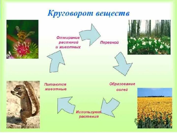 Модель круговорота веществ в природе 3. Модель круговорот веществ 3 класс окружающий мир. Круговорот веществ в природе 3 класс модель. Модель круговорот природы 3 класс. Круговорота веществ 3 класс