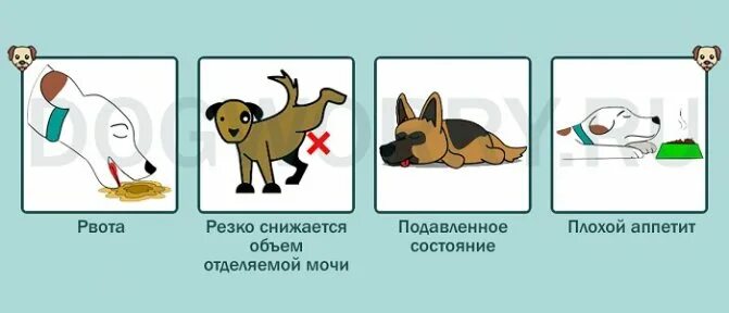 Почему собаке сладкое. Что нельзя собакам. Почему собакам нельзя давать сладкое. Почему собакам нельзя сахар.