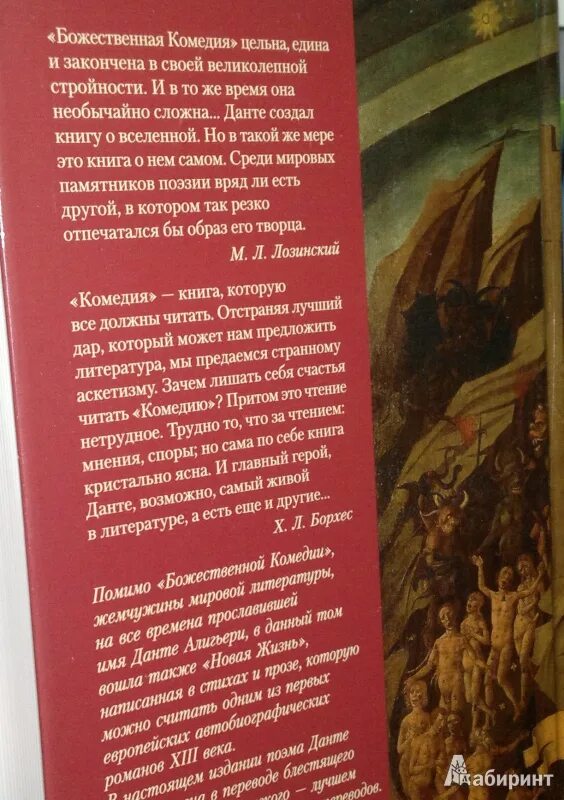 Данте алигьери божественная краткое содержание. Божественная комедия Данте Лозинский. Данте Алигьери новая жизнь Божественная комедия 1967. Новая жизнь. Божественная комедия Данте книга. Божественная комедия Лозинский книга.