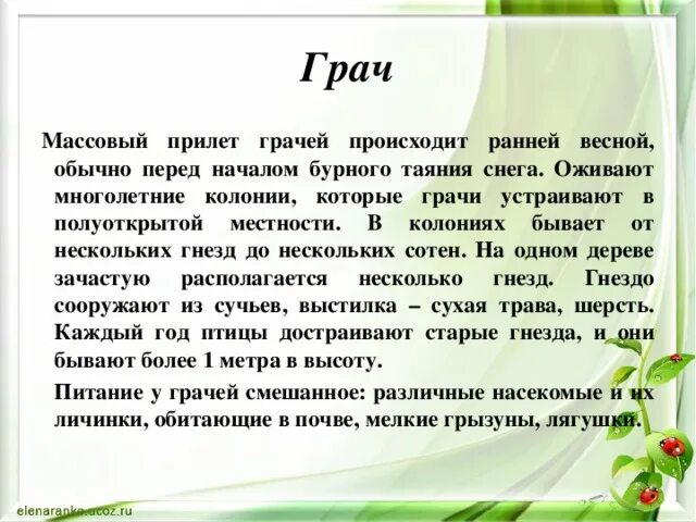 Диктант Грачи. Диктант Грачи 4 класс. Грач птица Весенняя диктант. Текст диктанта птицы