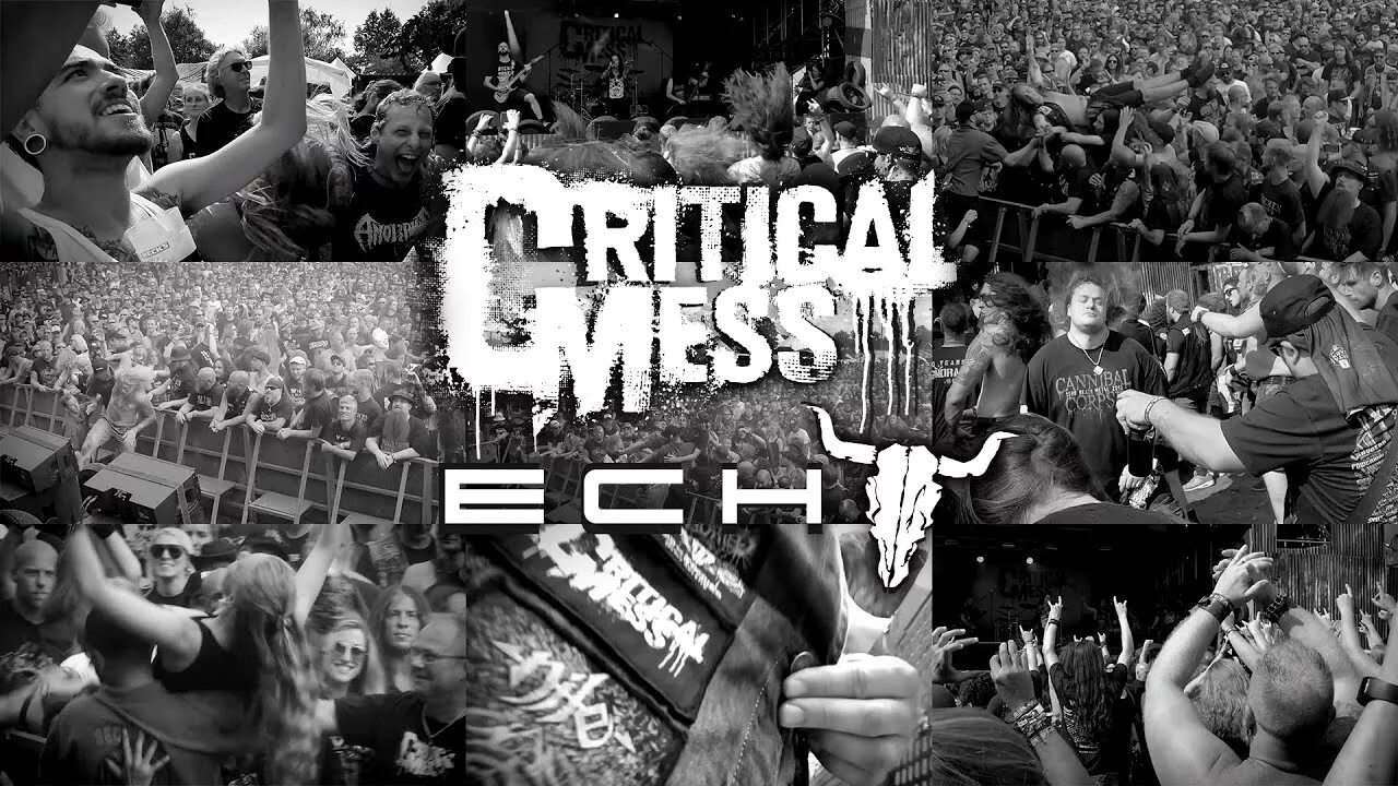 Echo live