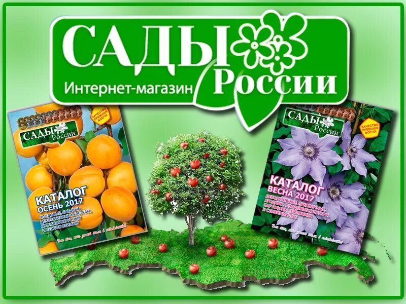 Сайт сады россии челябинск каталог