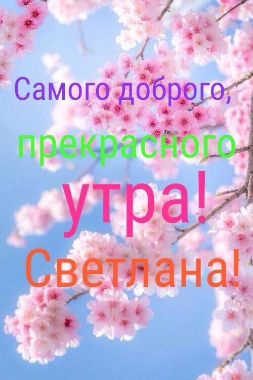 Светы доброе утро. Открытка с добрым утром света. Открытки с добрым утром Светочка.