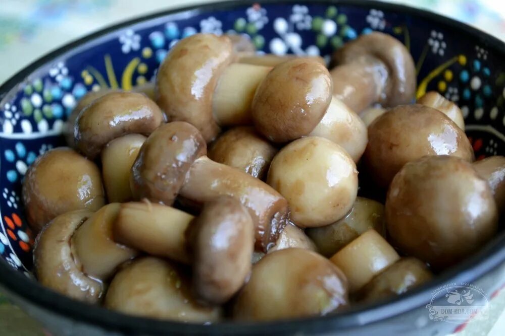 Как вкусно замариновать грибы. Маринованные грибы. грибочки маринованные. грибочки соленые. домашние грибочки.