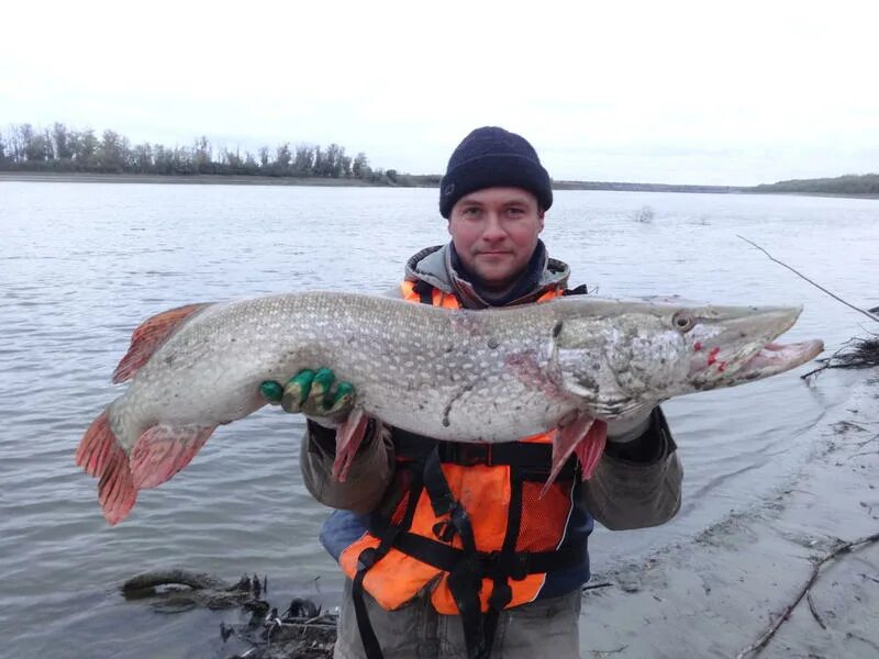 деревня эбаргуль усть ишимский район. усть ишим тевриз. деревня эбаргуль усть ишимский район. гисметео тевриз. тевриз.
