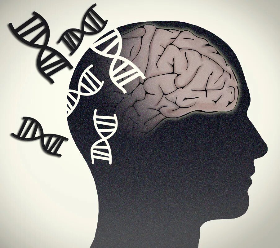 Brain disorder. Мозг ДНК. Наследственные психические заболевания. Память человека. Мозг память.