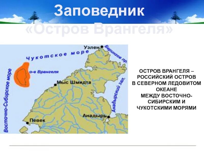 Заповедник остров Врангеля на карте. Заповедник остров Врангеля расположение. Остров Врангеля географическое положение. Остров Врангеля заповедник географическое положение.