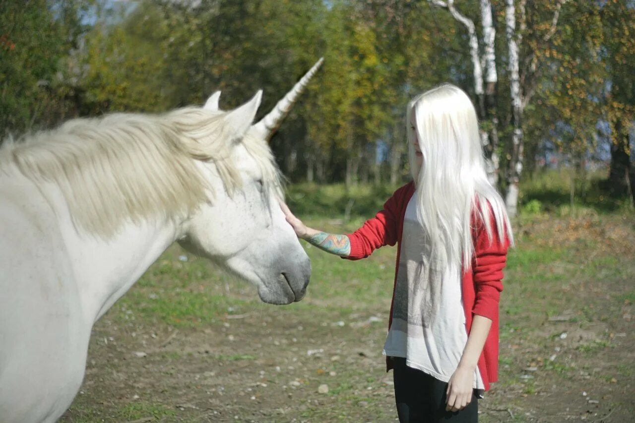 Настоящие Единороги. Единорог в реальности. Единорог в реальной жизни. Единороги в реальности существовали. Алиса единорогов