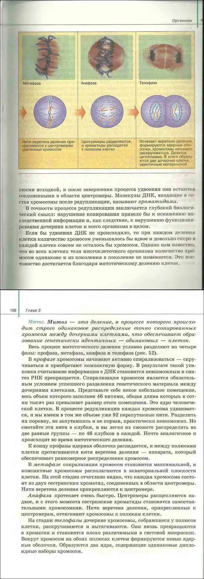 Биология 11 класс учебник сивоглазов агафонова. Коронавирус в учебнике биологии 2010. Учебник по биологии 10 класс Агафонова. Учебник биологии 10 - 11класс Сивоглазов Агафонова Захарова. Учебник по биологии 2010 годы.