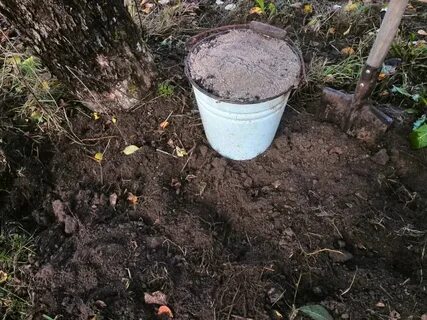 Весенние удобрения для плодовых