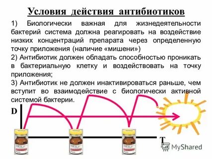 Погибают под действием антибиотиков