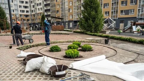 Домовой мурино
