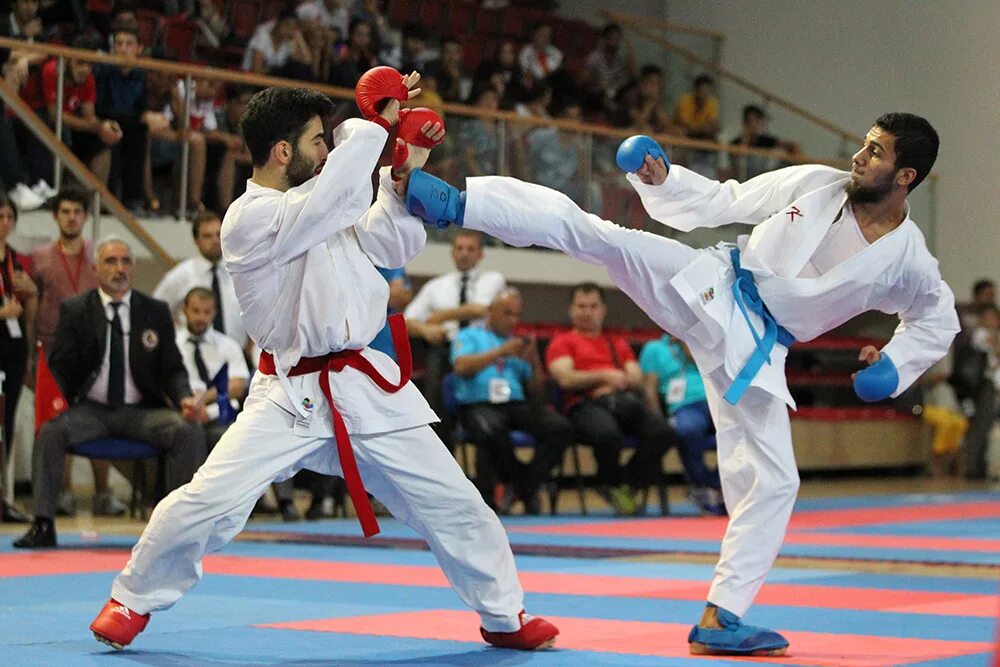 Дельфин черкесск. Сулейман Мамедов каратэ Буревестник Баку. Каратэ WKF Тюмень. Карате WKF Благовещенск.