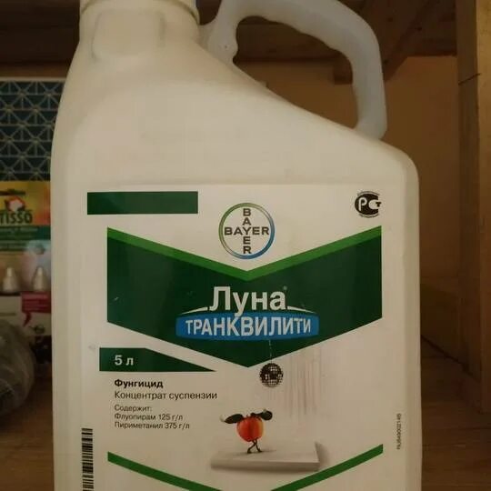Луна фунгицид для винограда. Фунгициды от болезней клубники. Препарат шавит для винограда. Препарат луна транквилити. Луна фунгицид для винограда.