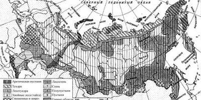 природные зоны россии контурная карта