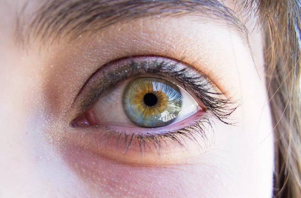 Зелено голубо желтые глаза. Центральная гетерохромия глаз. Центральная гетерохромия хамелеон. Центральная гетерохромия зеленый Карий. Центральная гетерохромия карих глаз.