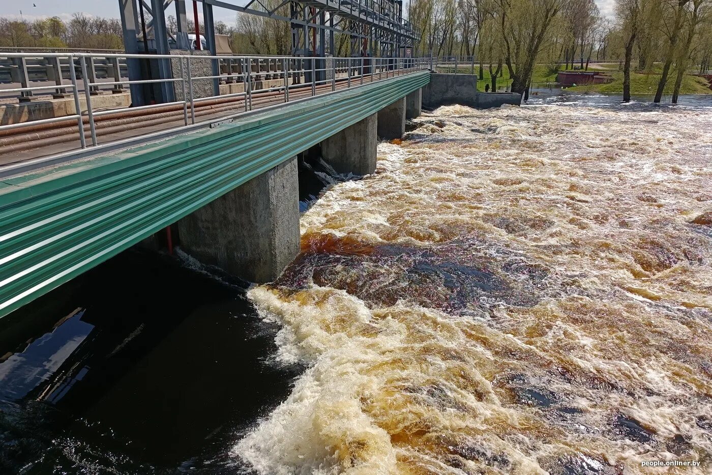 Уровень воды в реке ипуть в добруше. Гомельский парк затопило. Затоп набережной Гомель. Река в городе. Паводок в Витебской области.